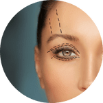 Top Plastic Surgeons USA|Face