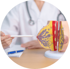 Top Plastic Surgeons USA|Breast