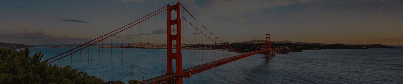 Top Plastic Surgeons USA|California